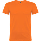 CAMISETA BEAGLE